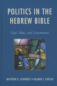 bokomslag Politics in the Hebrew Bible
