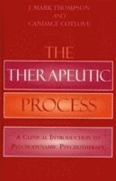 The Therapeutic Process 1