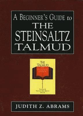 A Beginner's Guide to the Steinsaltz Talmud 1