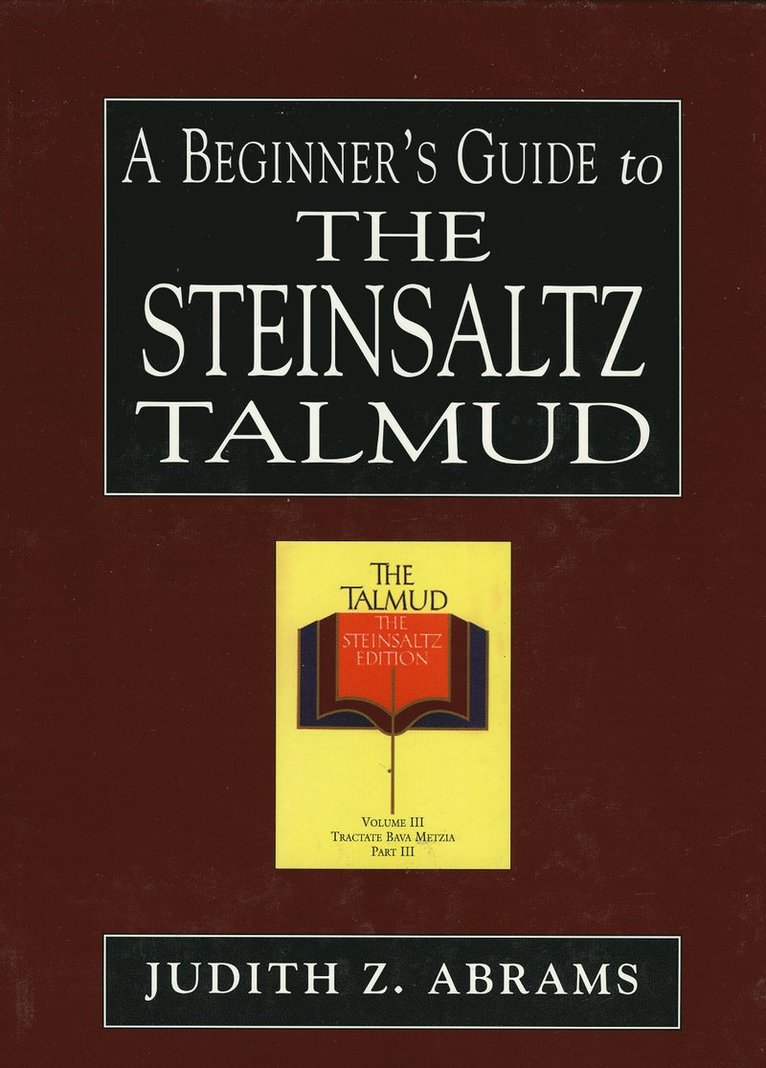 A Beginner's Guide to the Steinsaltz Talmud 1