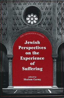 bokomslag Jewish Perspectives on the Experience of Suffering