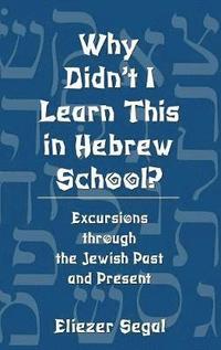 bokomslag Why Didn't I Learn This in Hebrew School?
