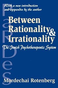 bokomslag Between Rationality and Irrationality