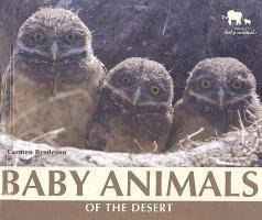 Carmen Bredeson - Baby Animals of the Desert, Inbunden