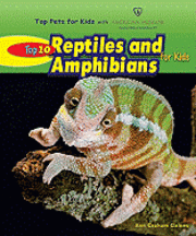 bokomslag Top 10 Reptiles and Amphibians for Kids