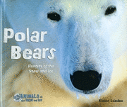 Elaine Landau - Polar Bears: Hunters of the Snow and Ice, Inbunden