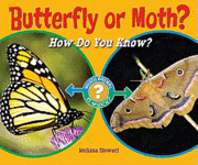 bokomslag Butterfly or Moth?: How Do You Know?