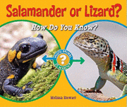 bokomslag Salamander or Lizard?: How Do You Know?