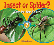 Insect or Spider?: How Do You Know? 1