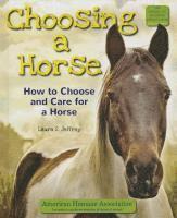 Choosing a Horse: How to Choose and Care for a Horse 1
