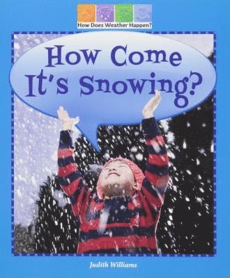 Judith Williams - How Come It's Snowing?, Häftad