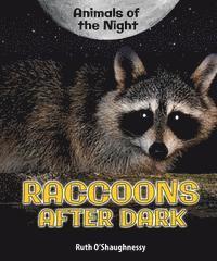 Ruth O'Shaughnessy - Raccoons After Dark, Häftad