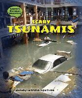 Jane Katirgis, Michele Ingber Drohan - Scary Tsunamis, Inbunden