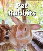 Pet Rabbits 1