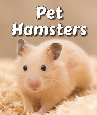 Cecelia H. Brannon - Pet Hamsters, Häftad