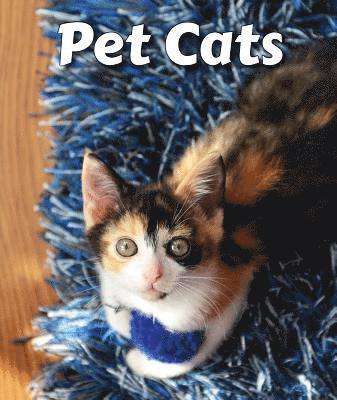 Cecelia H. Brannon - Pet Cats, Häftad