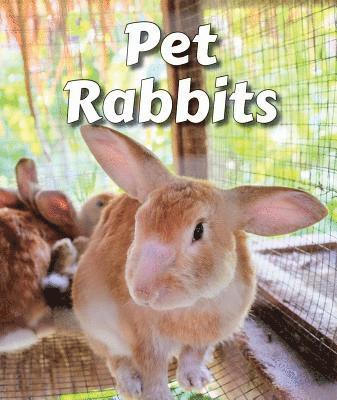 Cecelia H. Brannon - Pet Rabbits, Häftad