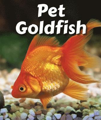 Cecelia H. Brannon - Pet Goldfish, Häftad