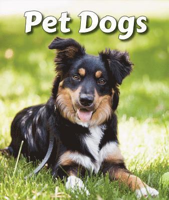 Cecelia H. Brannon - Pet Dogs, Häftad