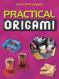 bokomslag Practical Origami