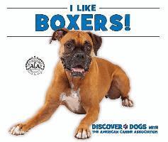 Linda Bozzo - I Like Boxers!, Inbunden