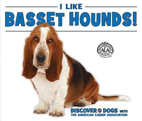 Linda Bozzo - I Like Basset Hounds!, Inbunden