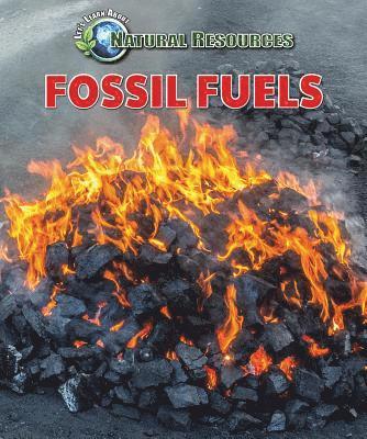 Jill Sherman - Fossil Fuels, Häftad