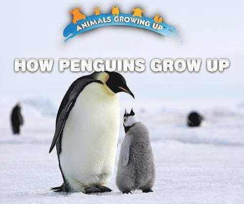 Lisa Idzikowski - How Penguins Grow Up, Inbunden