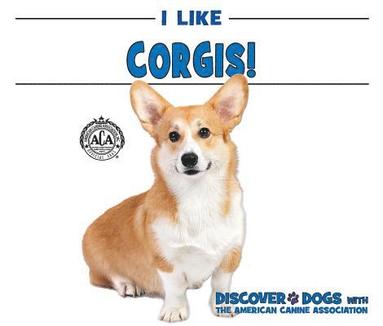 bokomslag I Like Corgis!