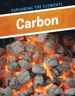 Donna B. McKinney - Carbon, Inbunden