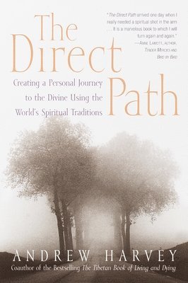 Andrew Harvey - The Direct Path: Creating a Personal Journey to the Divine Using the World's Spirtual Traditions, Häftad