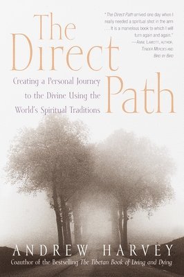 bokomslag The Direct Path: Creating a Personal Journey to the Divine Using the World's Spirtual Traditions