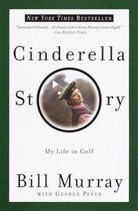 bokomslag Cinderella Story