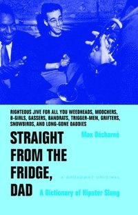 bokomslag Straight from the Fridge, Dad: A Dictionary of Hipster Slang