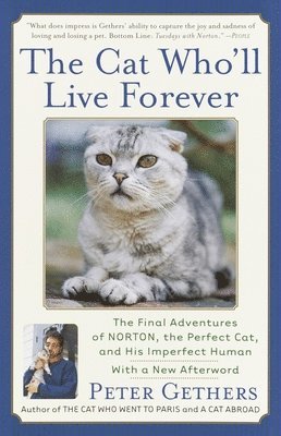 bokomslag The Cat Who'll Live Forever: The Final Adventures of Norton, the Perfect Cat, and His Imperfect Human