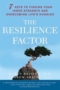 bokomslag Resilience Factor