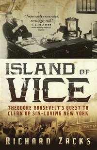 bokomslag Island of Vice