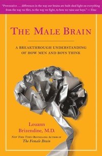 bokomslag Male Brain