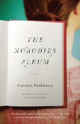 bokomslag The Nobodies Album