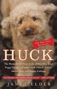 bokomslag Huck