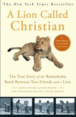 A Lion Called Christian 1