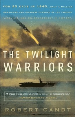 bokomslag Twilight Warriors
