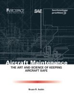 Aircraft Maintenance