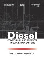 Diesel Common Rail and Advanced Fuel Injection Systems
