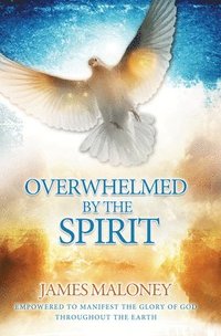 bokomslag Overwhelmed by the Spirit