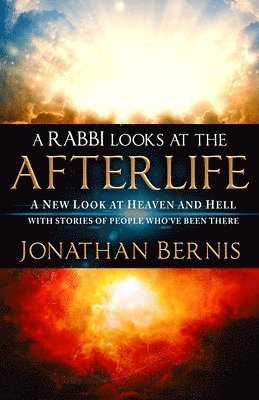 bokomslag Rabbi Looks At The Afterlife, A