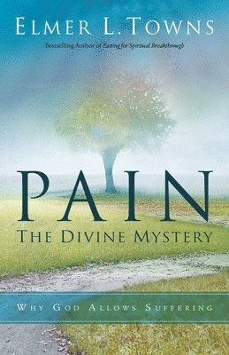 Elmer L. Towns - Pain: The Divine Mystery: Why God Allows Suffering, Häftad