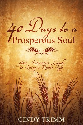 bokomslag 40 Days to a Prosperous Soul