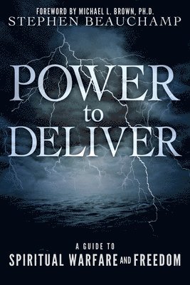bokomslag Power to Deliver