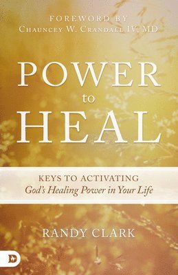 bokomslag Power To Heal